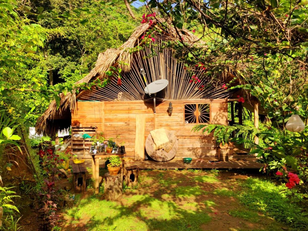 Finca La Selvita Chocolate Experience Buritaca Exterior photo
