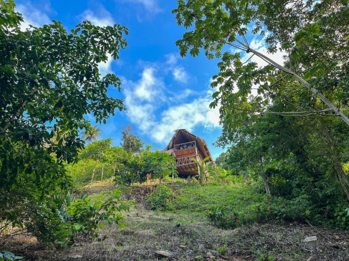 Finca La Selvita Chocolate Experience Buritaca Exterior photo