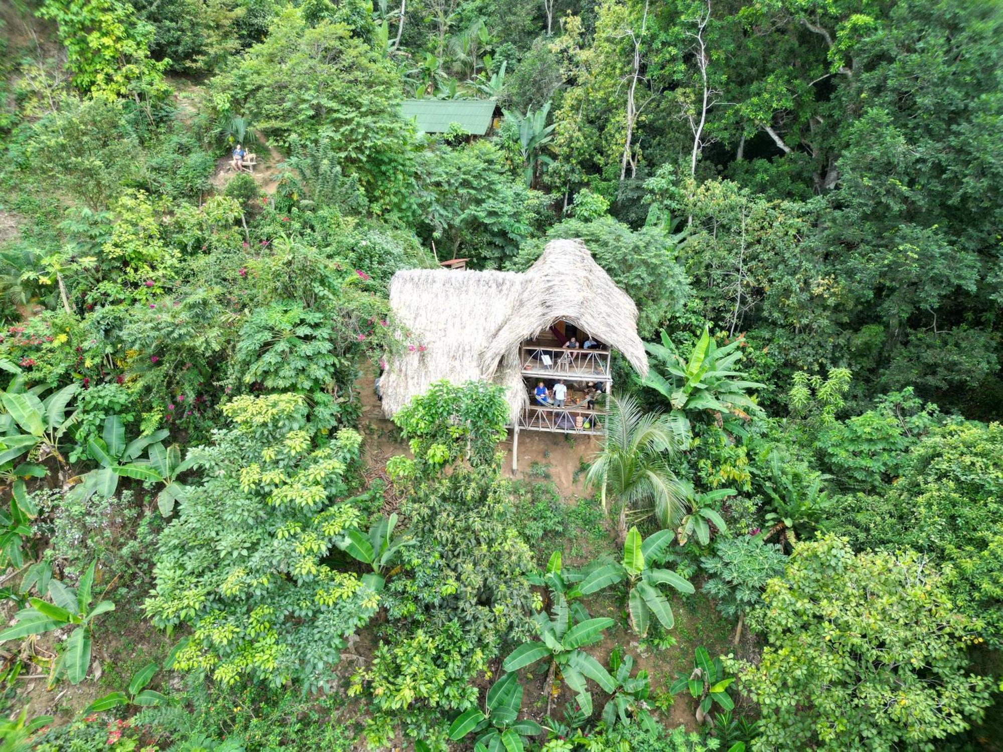 Finca La Selvita Chocolate Experience Buritaca Exterior photo
