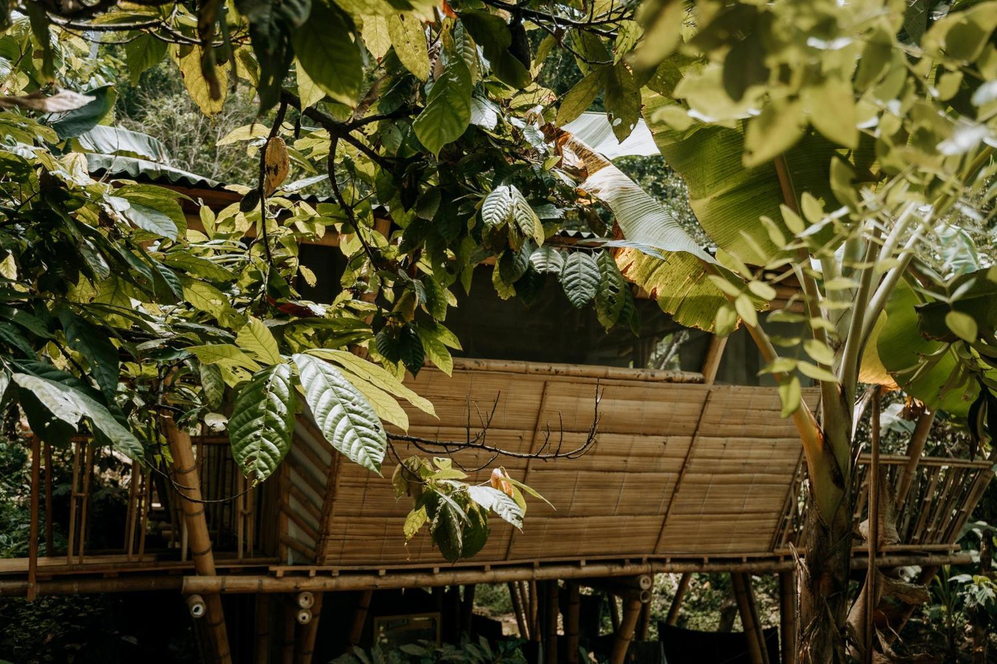 Finca La Selvita Chocolate Experience Buritaca Exterior photo