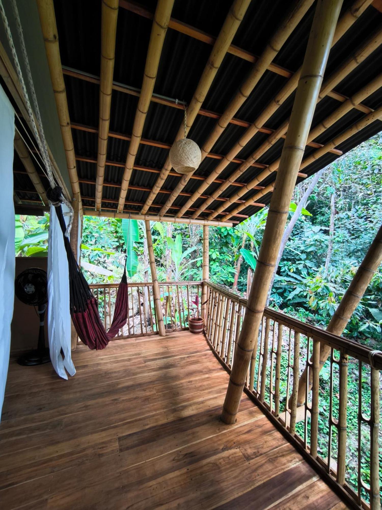 Finca La Selvita Chocolate Experience Buritaca Room photo